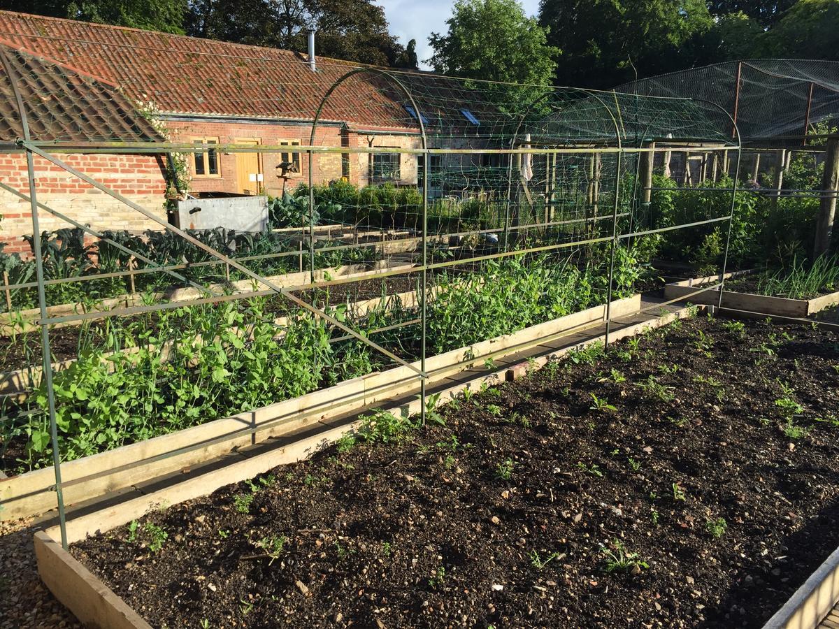 Chippenham Park Garden Rooms ภายนอก รูปภาพ